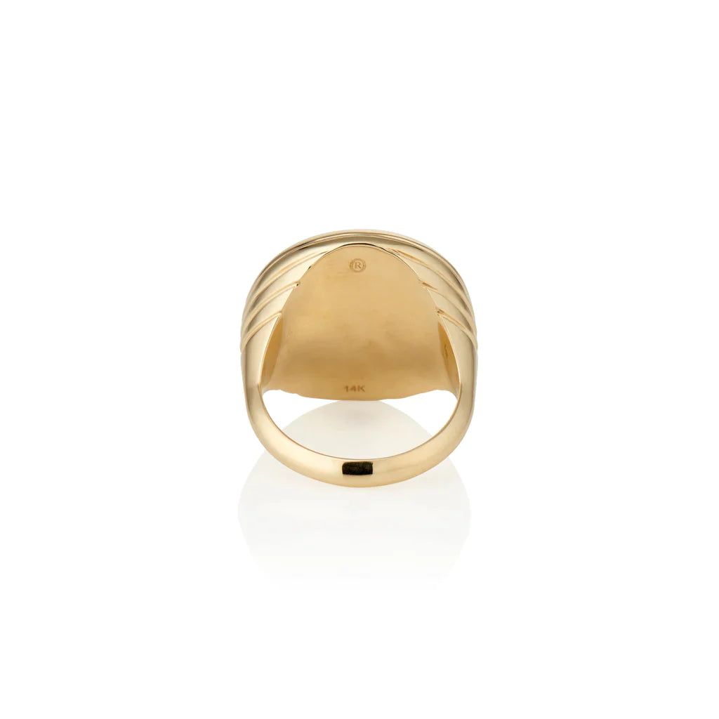 Lapis & Lotus Garnet Compass Signet Ring