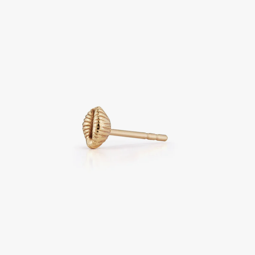 Bitsy Bean Stud - Open