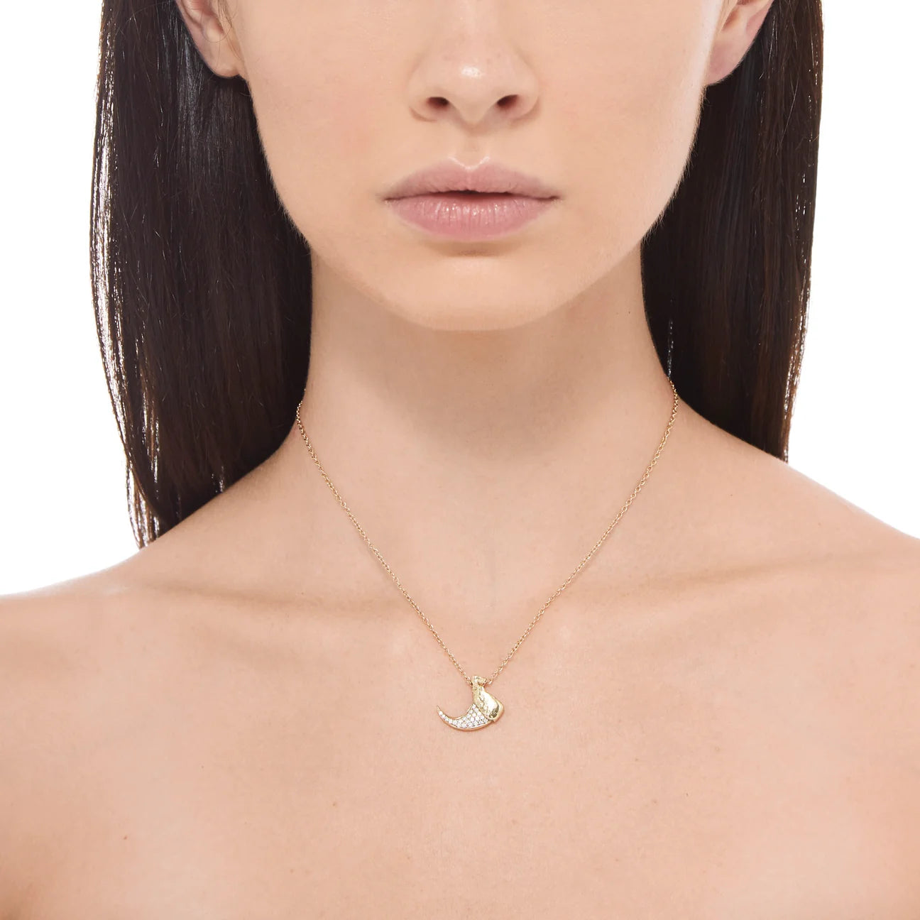 Bobcat Claw Necklace