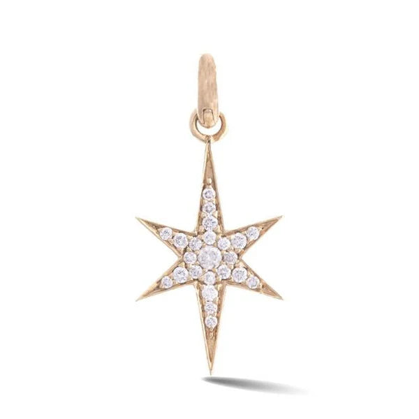14K Gold Diamond Stella Charm