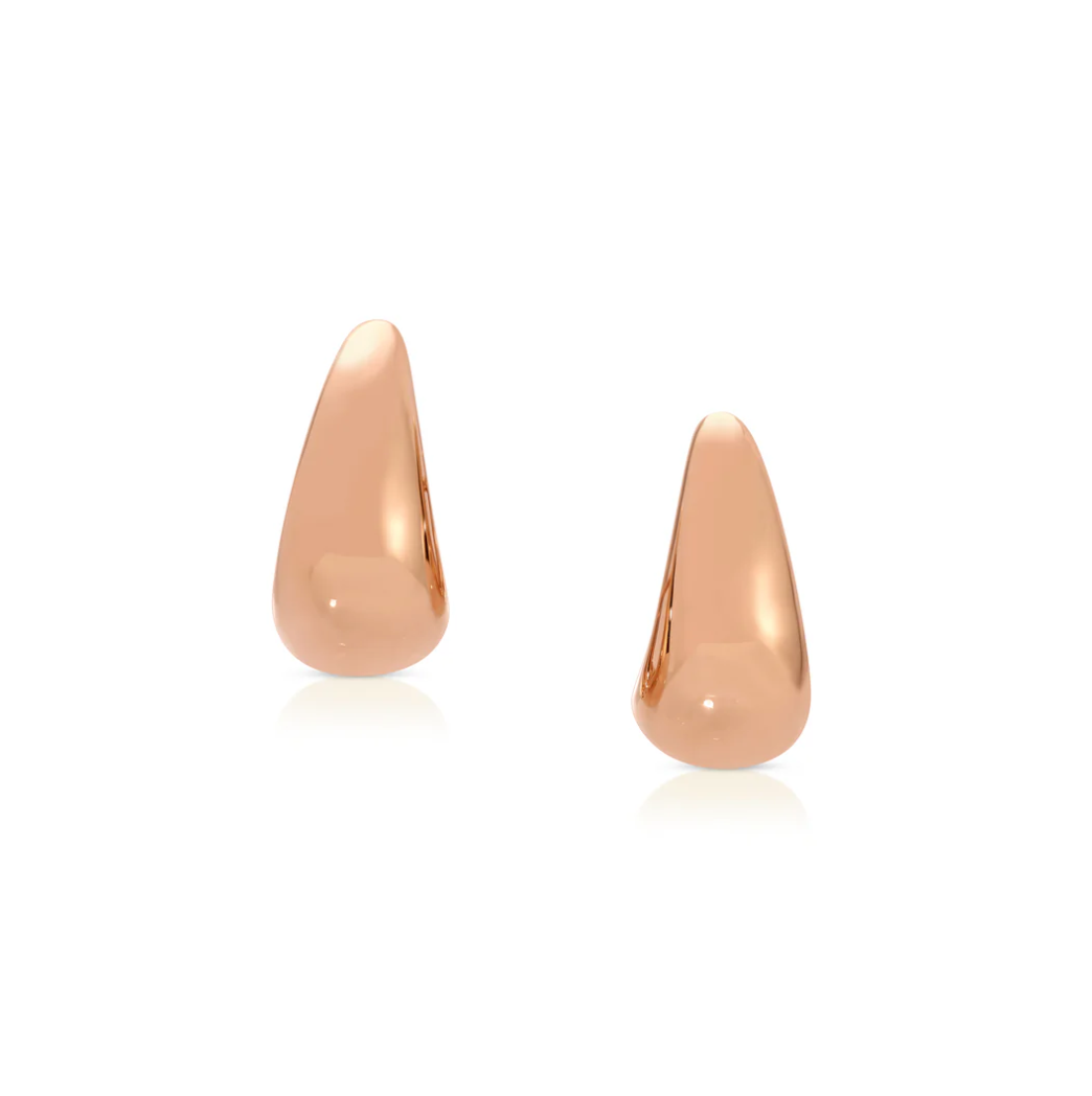 Small Claw Earrings