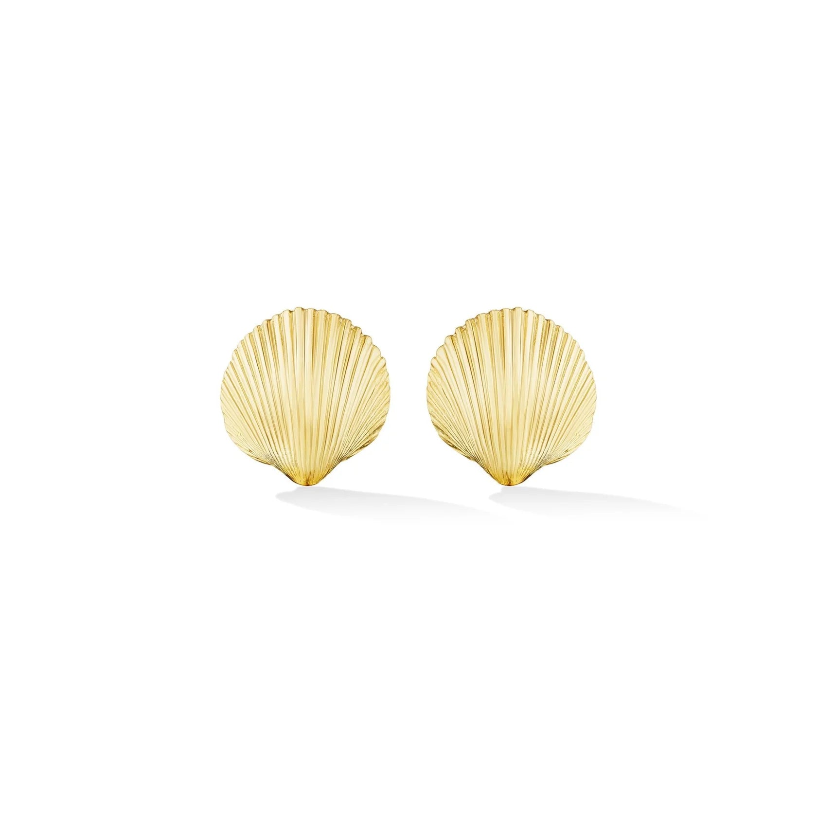 Shell Stud Earrings