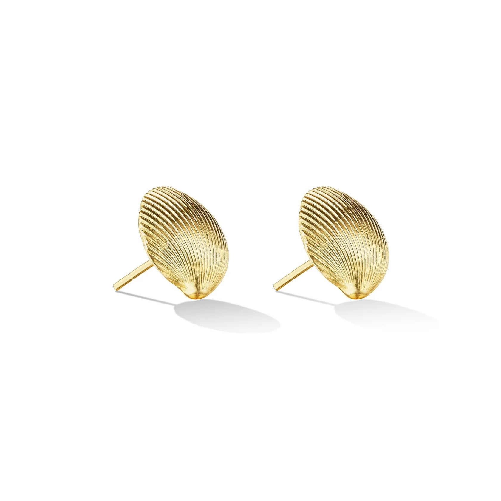 Shell Stud Earrings