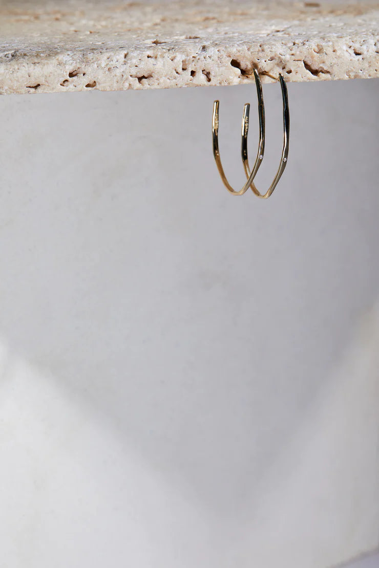 Gold & Diamond Hoops